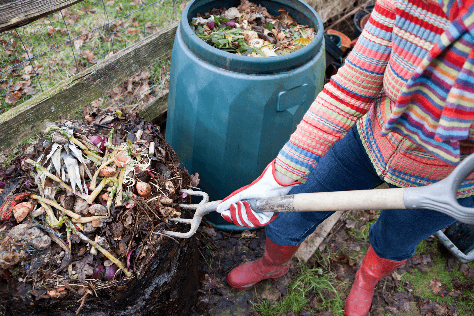 2025 February 5 garden jobs for february sowing and planting