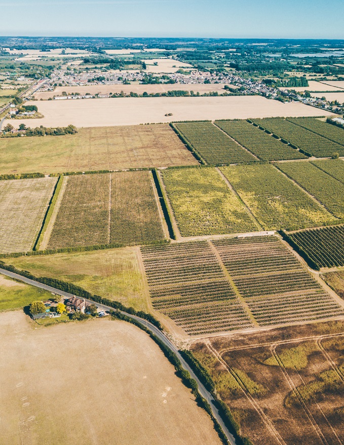 Property Valuation in Sittingbourne